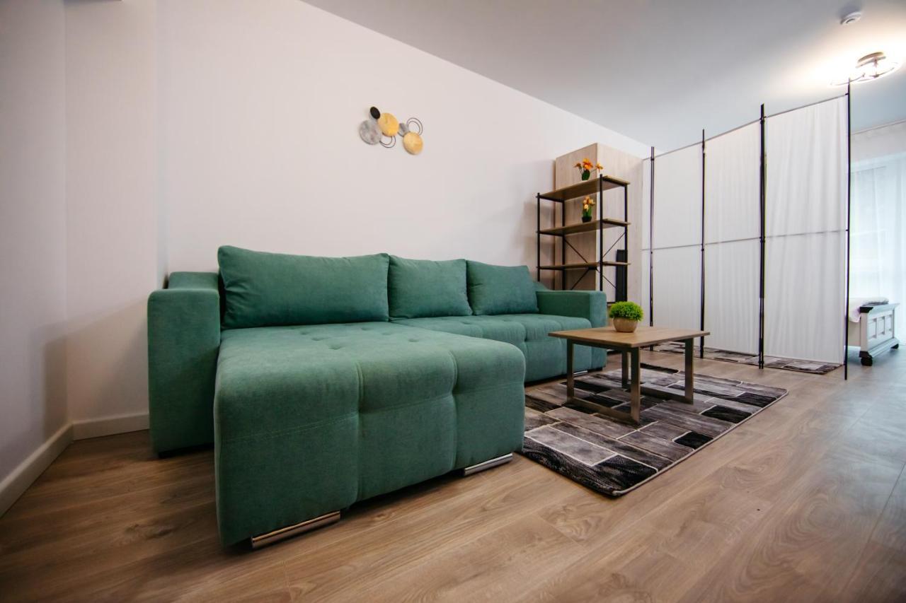 L&V Family Studio Apartment Sinaia Exterior photo