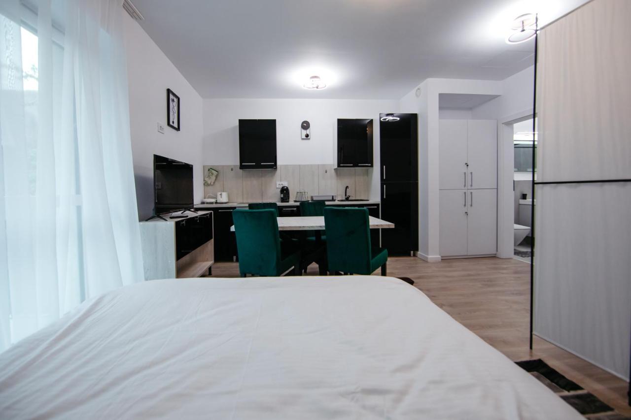 L&V Family Studio Apartment Sinaia Exterior photo