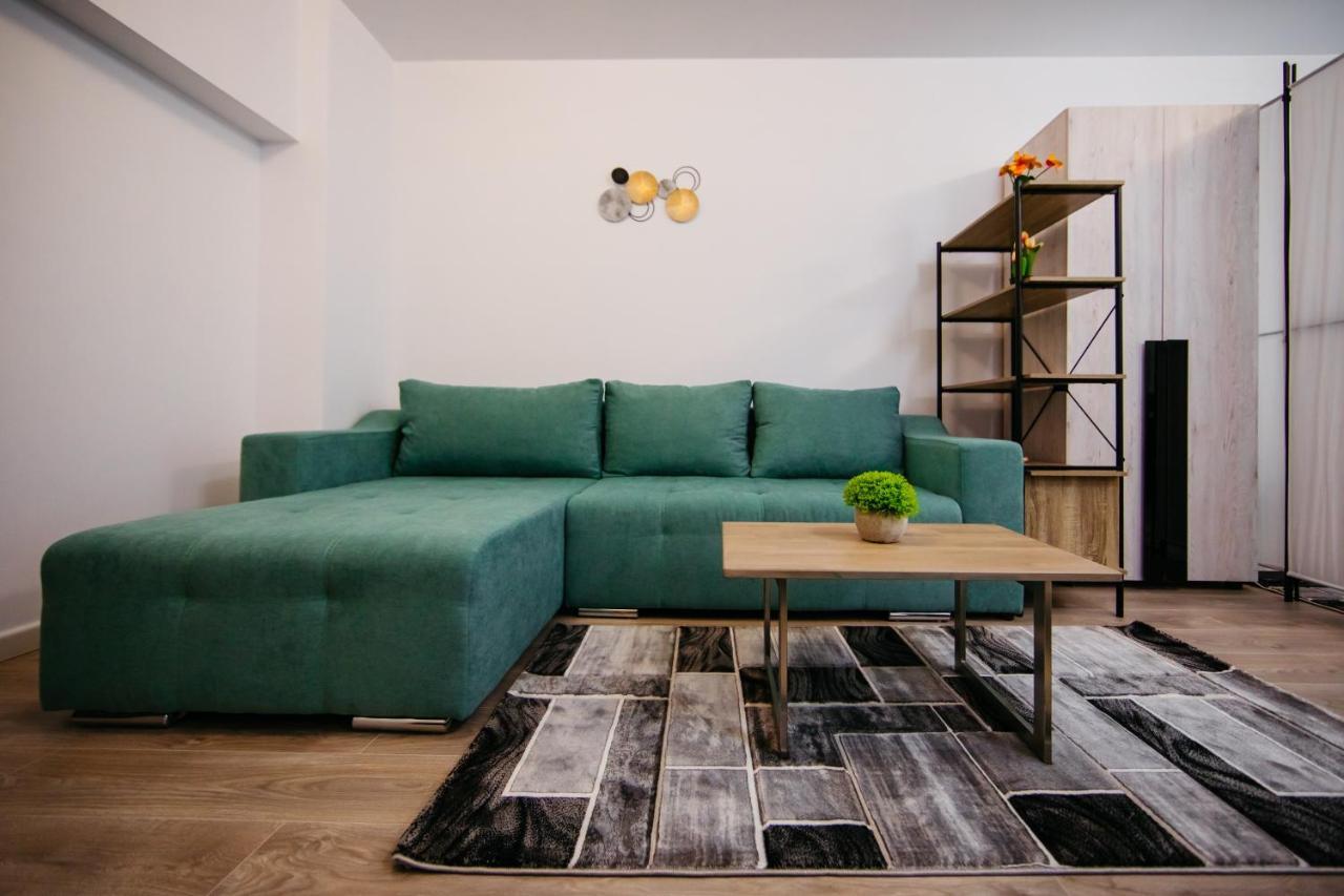L&V Family Studio Apartment Sinaia Exterior photo